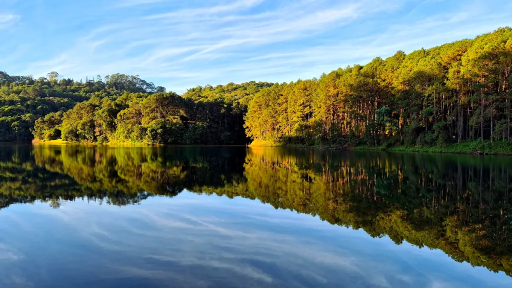 Meio ambiente natural serena com um lago calmo cercado por floresta densa de coníferas. A luz do sol ilumina as árvores à direita, criando reflexos dourados na água espelhada. O céu azul com nuvens finas completa a cena tranquila e harmoniosa.