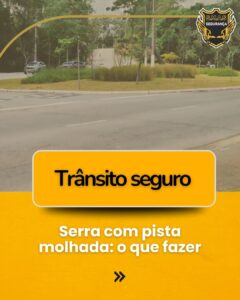 Uma fotografia de uma via urbana ou rodoviária com um canteiro central gramado e árvores ao fundo. A foto possui um filtro levemente esverdeado/amarelado, dando um aspecto sóbrio. No canto superior direito, há um logotipo de uma empresa chamada "S.M.A.S SEGURANÇA", que apresenta um escudo dourado com a silhueta de duas aves (possivelmente fênix ou águias).