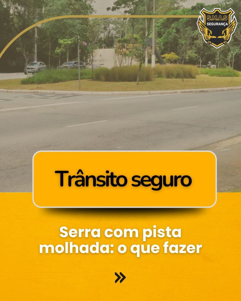 Uma fotografia de uma via urbana ou rodoviária com um canteiro central gramado e árvores ao fundo. A foto possui um filtro levemente esverdeado/amarelado, dando um aspecto sóbrio. No canto superior direito, há um logotipo de uma empresa chamada "S.M.A.S SEGURANÇA", que apresenta um escudo dourado com a silhueta de duas aves (possivelmente fênix ou águias).