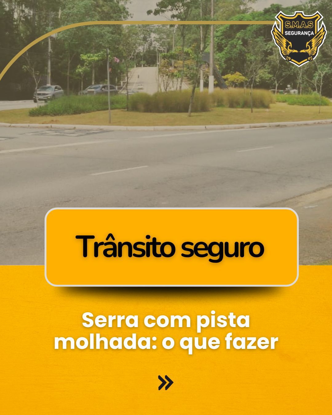 Uma fotografia de uma via urbana ou rodoviária com um canteiro central gramado e árvores ao fundo. A foto possui um filtro levemente esverdeado/amarelado, dando um aspecto sóbrio. No canto superior direito, há um logotipo de uma empresa chamada "S.M.A.S SEGURANÇA", que apresenta um escudo dourado com a silhueta de duas aves (possivelmente fênix ou águias).