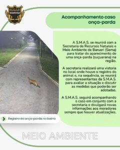 Comunicado da S.M.A.S. Segurança com o título "Acompanhamento caso onça-parda". O texto informa que a empresa se reunirá com a Sema de Barueri para tratar do aparecimento de uma onça-parda na região e realizar uma vistoria no local. À esquerda, há uma foto noturna de uma rua iluminada por postes, onde o felino aparece atravessando a via.