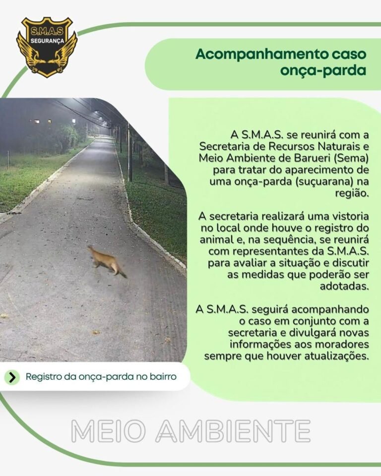 Comunicado da S.M.A.S. Segurança com o título "Acompanhamento caso onça-parda". O texto informa que a empresa se reunirá com a Sema de Barueri para tratar do aparecimento de uma onça-parda na região e realizar uma vistoria no local. À esquerda, há uma foto noturna de uma rua iluminada por postes, onde o felino aparece atravessando a via.